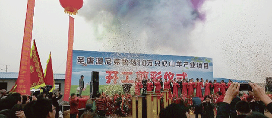 2014��10��ʥ�ư��������10�fֻ��ɽ���������