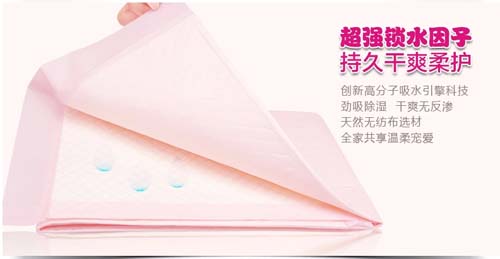 聰麗護理墊10片