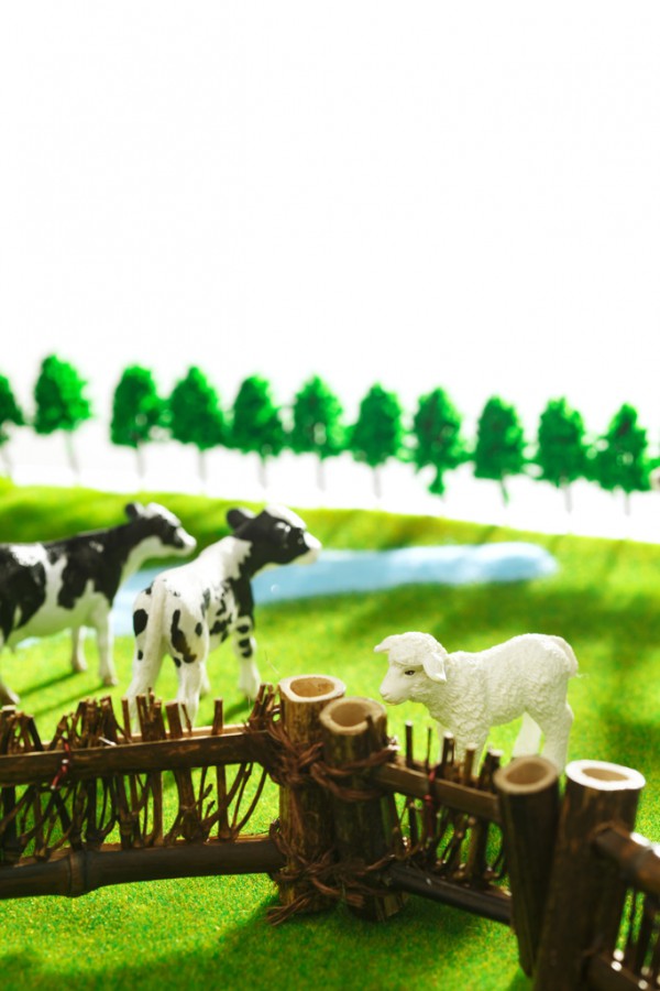 �̷ۏ����Ǵ��Ե��Cˇ�I�N��Ʒ�ơ����ࡱ���l��